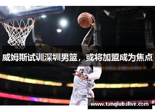 威姆斯试训深圳男篮，或将加盟成为焦点