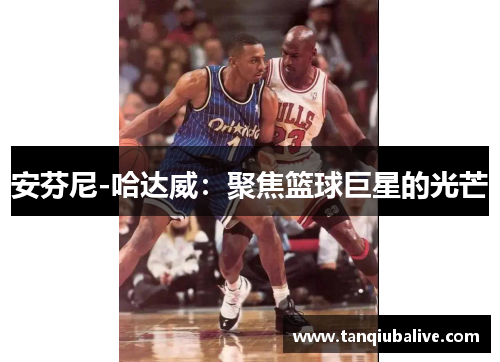 安芬尼-哈达威:聚焦篮球巨星的光芒 安芬尼-哈达威:聚焦篮球巨星的光芒