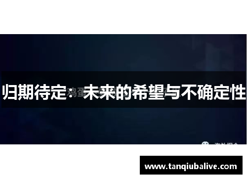 归期待定:未来的希望与不确定性 归期待定:未来的希望与不确定性