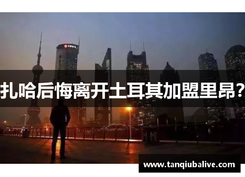 扎哈后悔离开土耳其加盟里昂? 扎哈后悔离开土耳其加盟里昂?